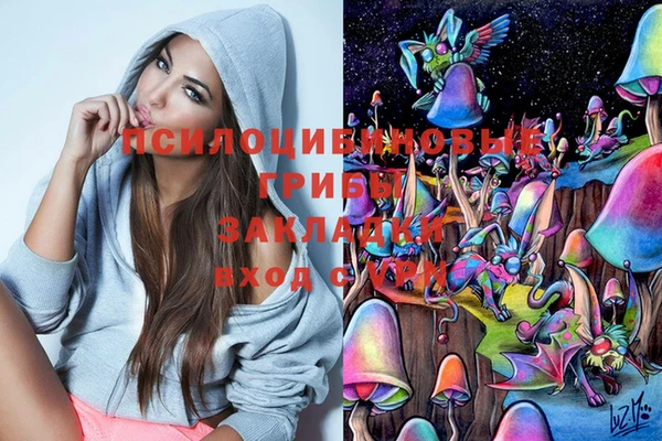 ПСИЛОЦИБИНОВЫЕ ГРИБЫ Абинск