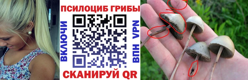 Псилоцибиновые грибы Psilocybine cubensis  Богородицк 