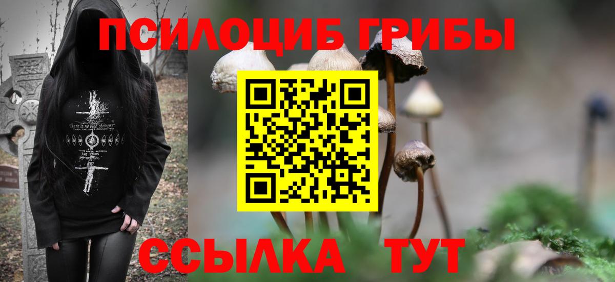 Псилоцибиновые грибы мицелий  Вход с VPN  Богородицк 